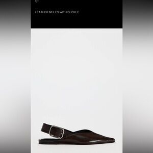 Brown Mule with Silver Buckle